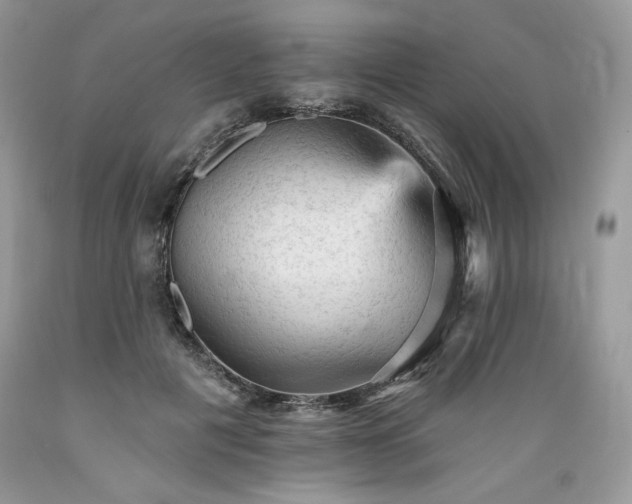 X0000089380601200706221256