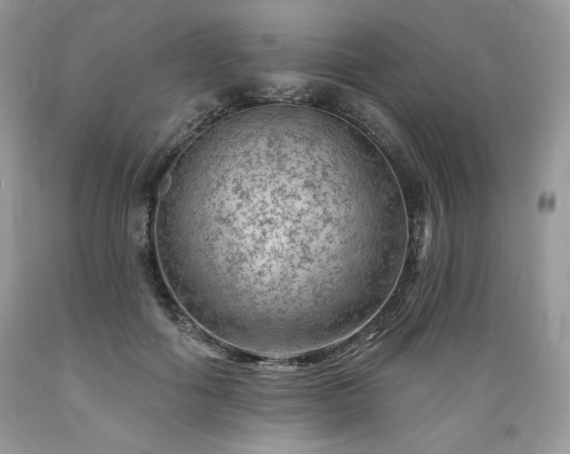 X0000089380602200706221256