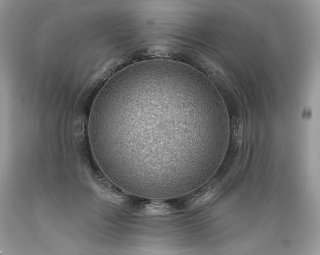 X0000089380603200706221256