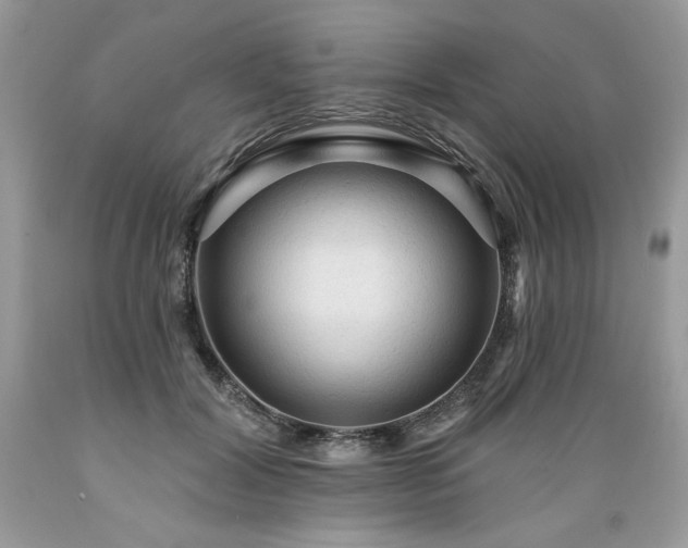 X0000089380604200706221256