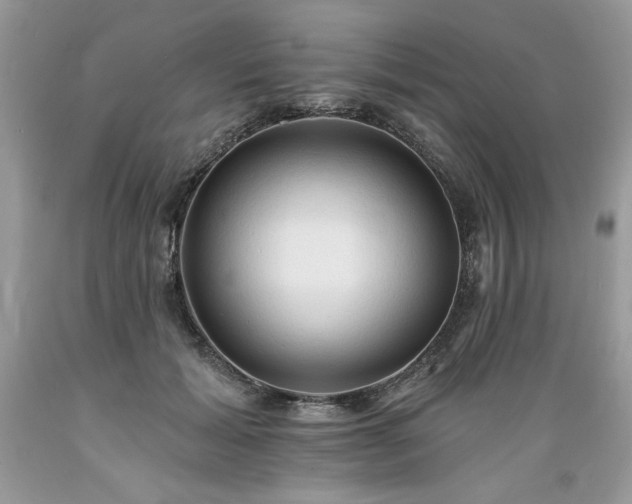 X0000089380605200706221256