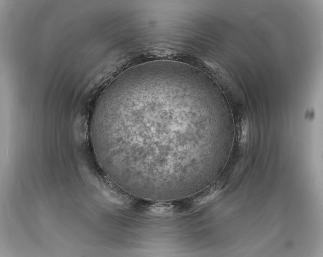 X0000089380606200706221256