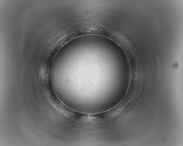 X0000089380607200706221256
