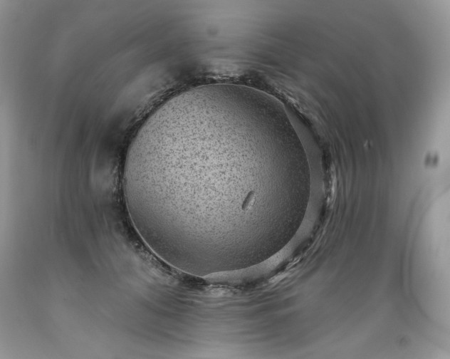 X0000089380608200706221256