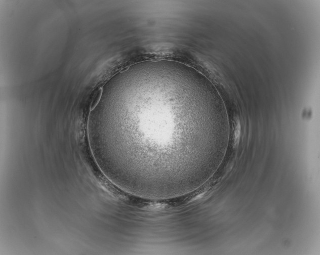 X0000089380609200706221256