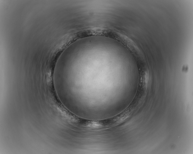 X0000089380610200706221256