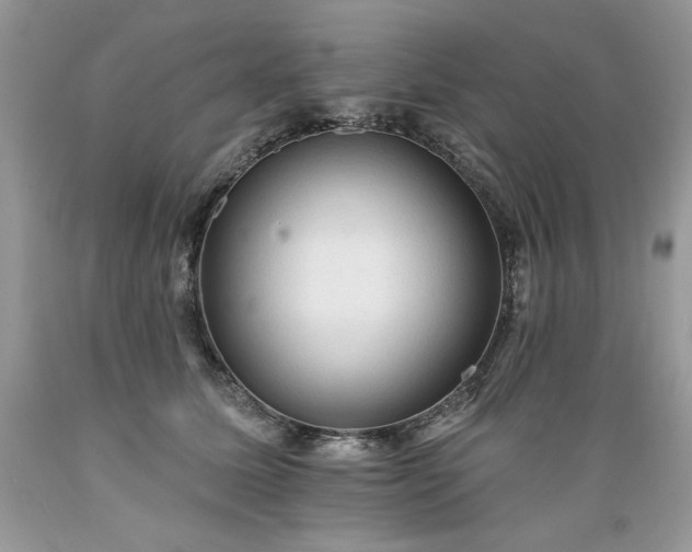 X0000089380611200706221256