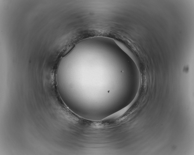 X0000089380613200706221255