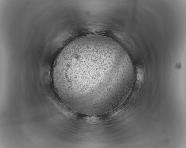 X0000089380615200706221255