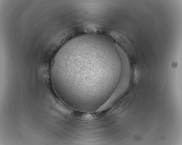 X0000089380616200706221255