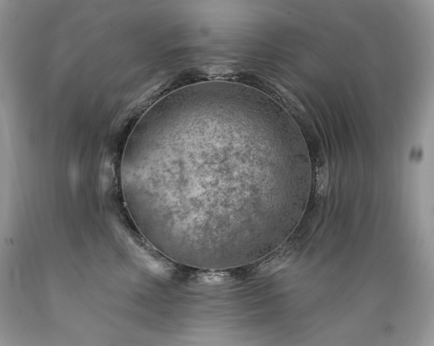 X0000089380618200706221255