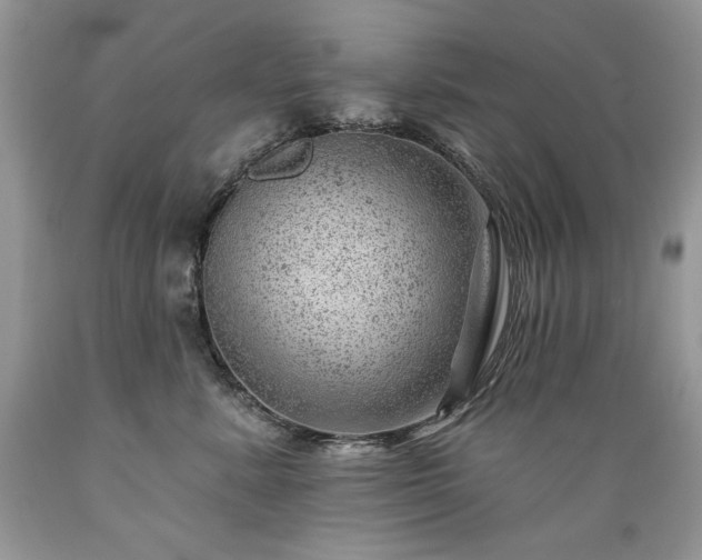 X0000089380619200706221255