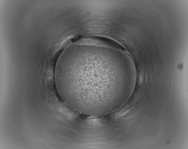 X0000089380620200706221255