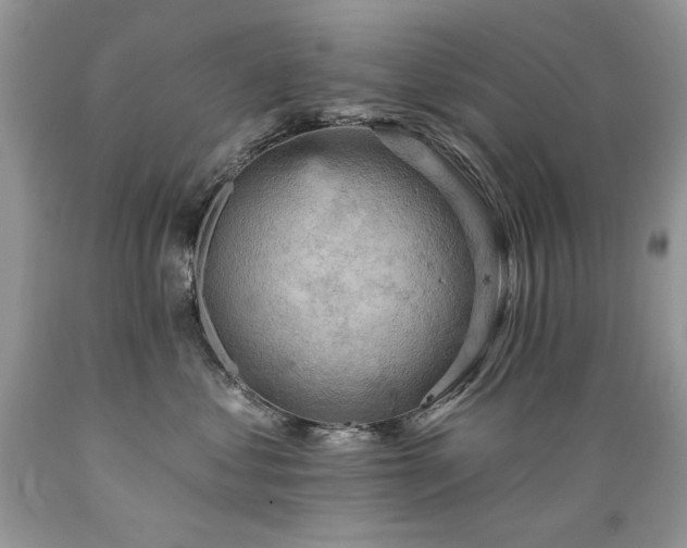 X0000089380621200706221255