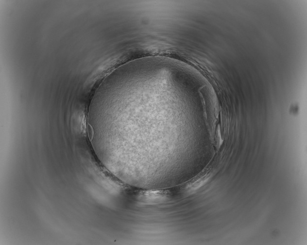 X0000089380622200706221255