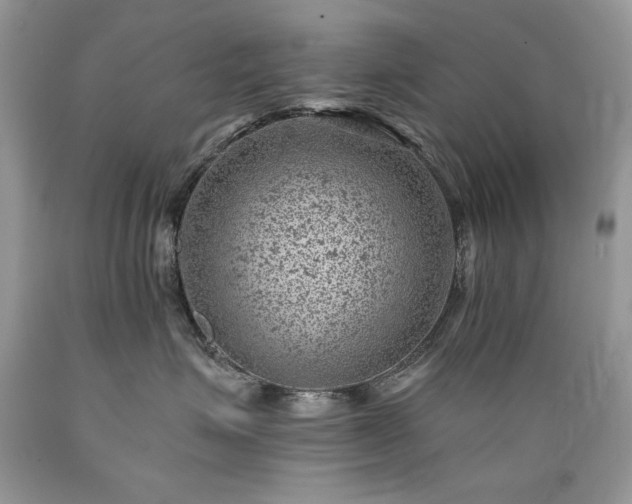 X0000089380623200706221255