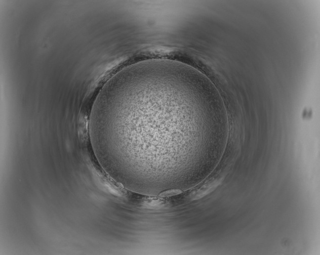 X0000089380624200706221255