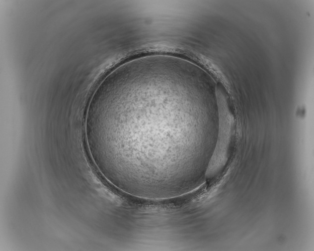 X0000089380625200706221254