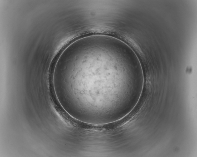 X0000089380626200706221255