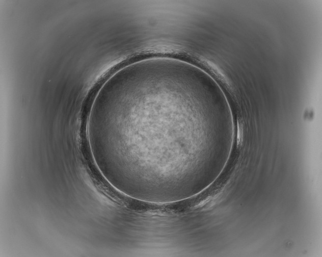 X0000089380627200706221255