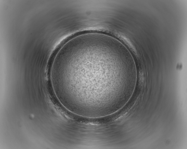 X0000089380628200706221255