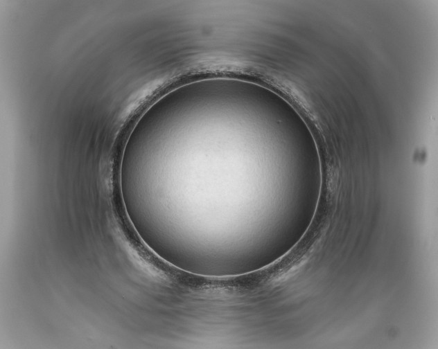 X0000089380629200706221255