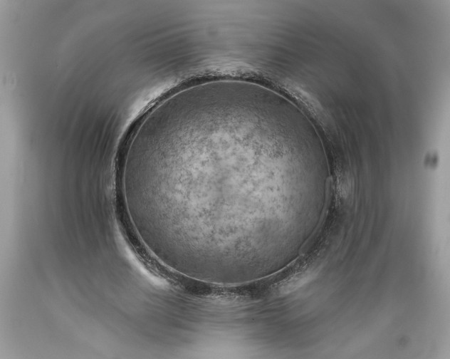 X0000089380630200706221255