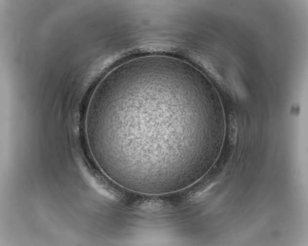 X0000089380631200706221255