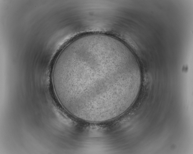 X0000089380632200706221255
