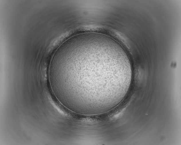 X0000089380633200706221255