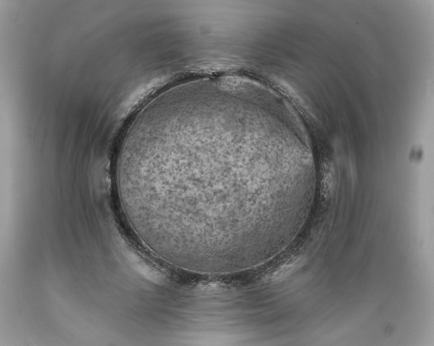 X0000089380634200706221255