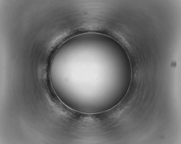 X0000089380635200706221255