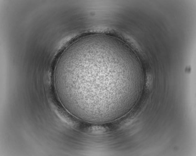 X0000089380636200706221255