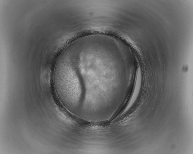 X0000089380637200706221255
