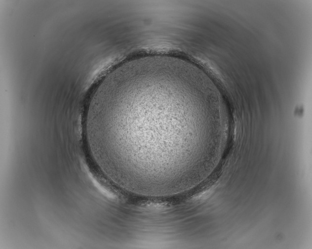X0000089380638200706221255
