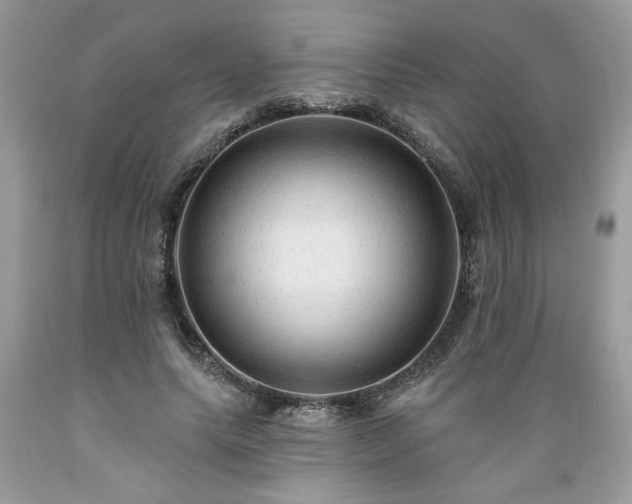 X0000089380639200706221255
