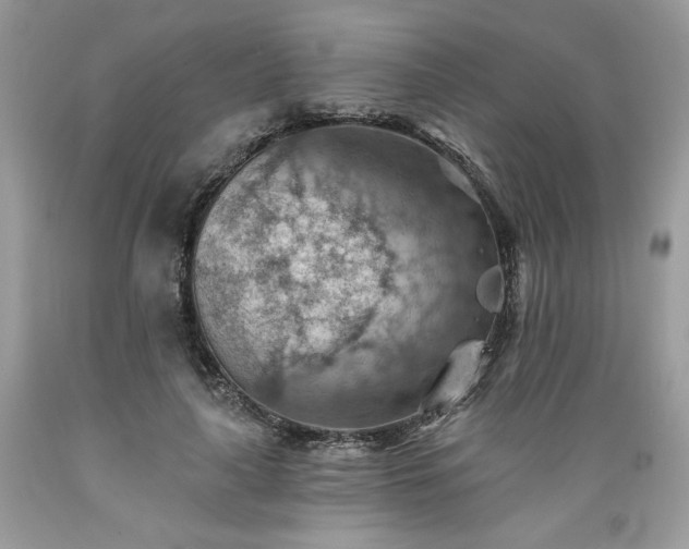 X0000089380643200706221255