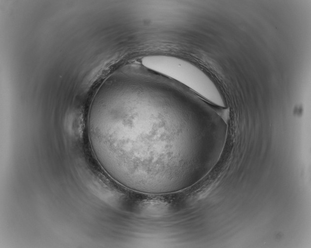 X0000089380644200706221255