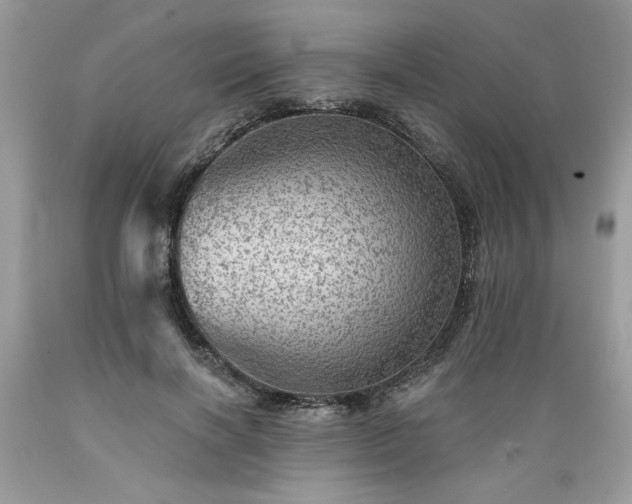 X0000089380646200706221255