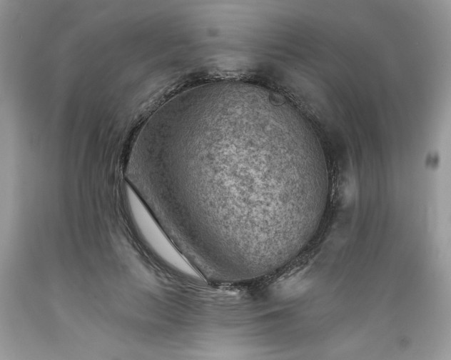 X0000089380647200706221255