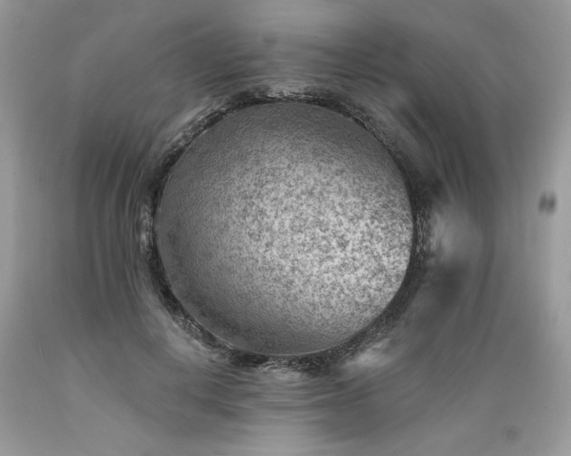 X0000089380648200706221255