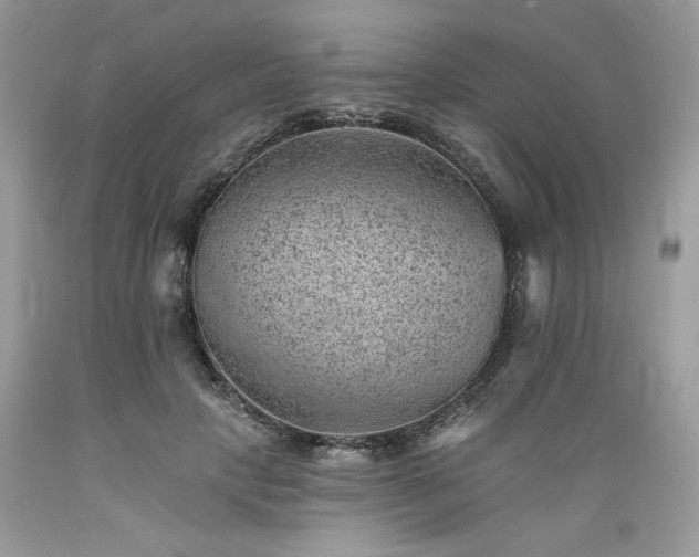 X0000089380649200706221255