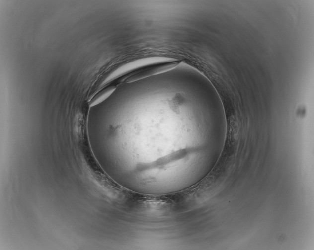 X0000089380650200706221255