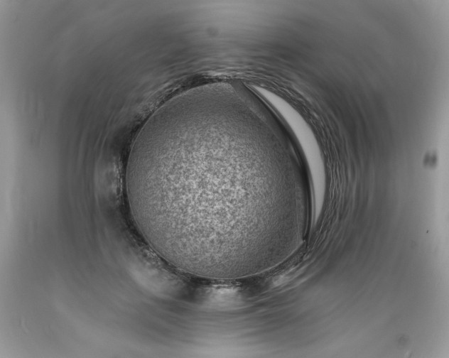 X0000089380651200706221255