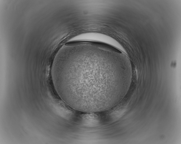X0000089380652200706221255