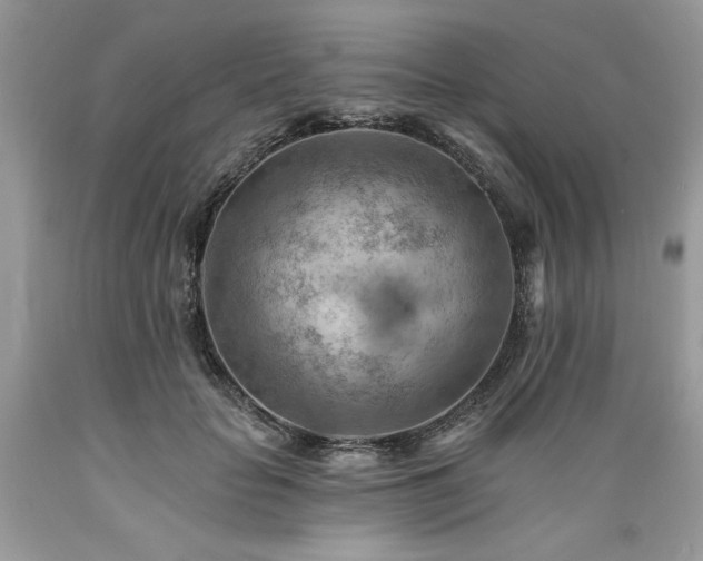 X0000089380653200706221255