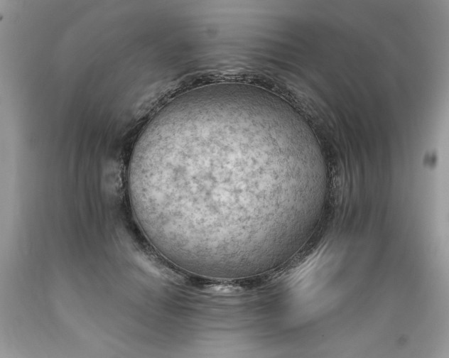 X0000089380654200706221255