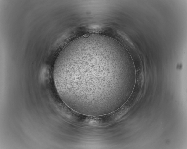 X0000089380655200706221255