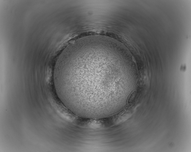 X0000089380656200706221255