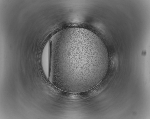 X0000089380657200706221255